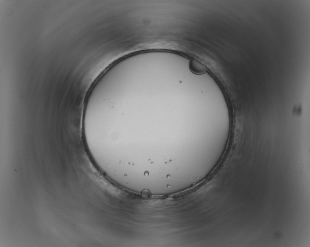 X0000111491228200907281219