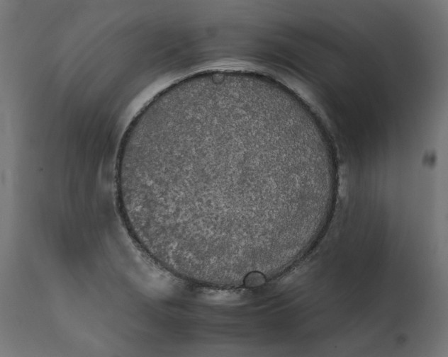 X0000111491229200907281219