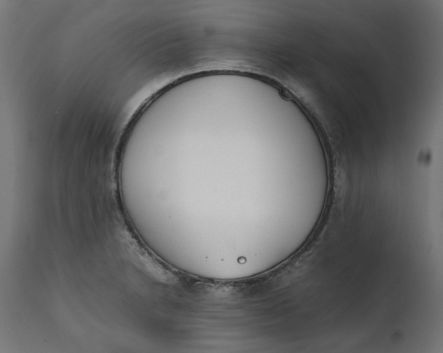 X0000111491230200907281219