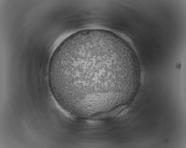 X0000111491231200907281219