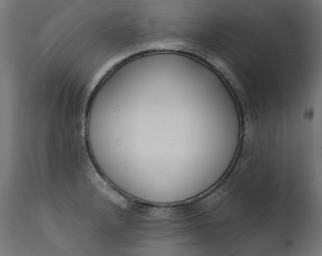 X0000111491232200907281219