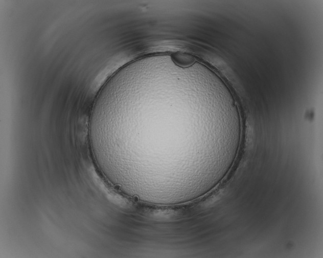 X0000111491233200907281219