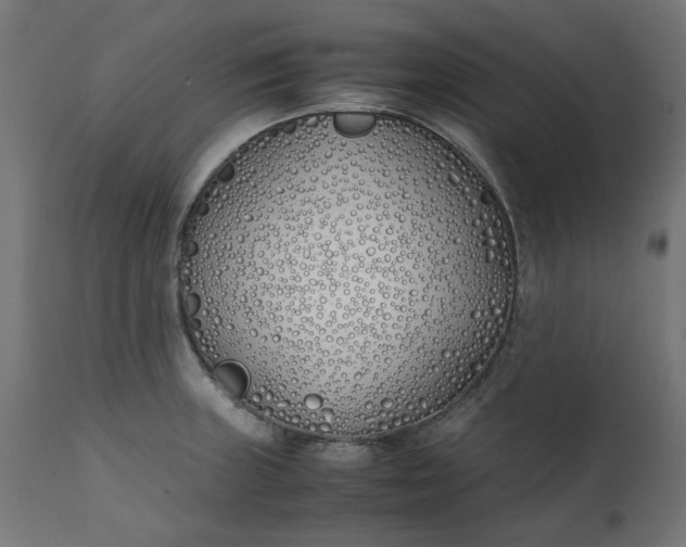 X0000111491235200907281219