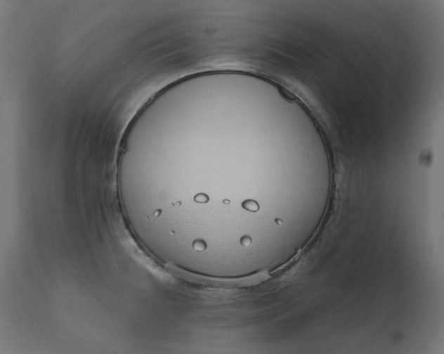 X0000111491236200907281219