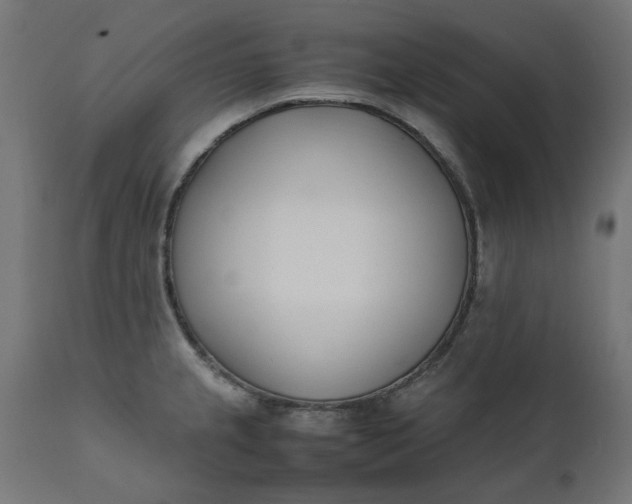 X0000111491237200907281219