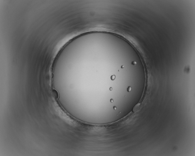 X0000111491238200907281219