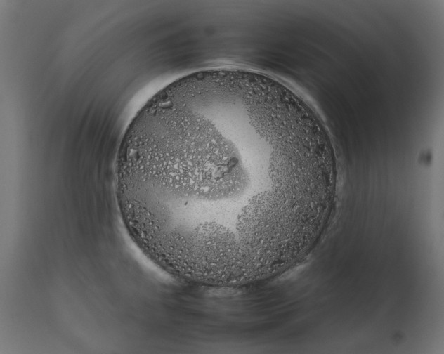 X0000111491239200907281219