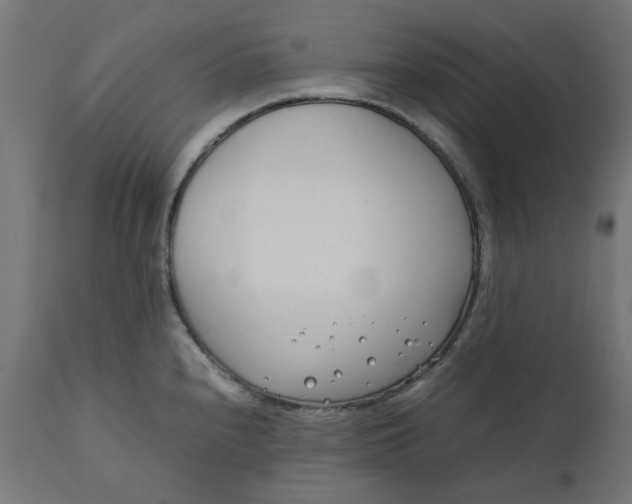 X0000111491240200907281219