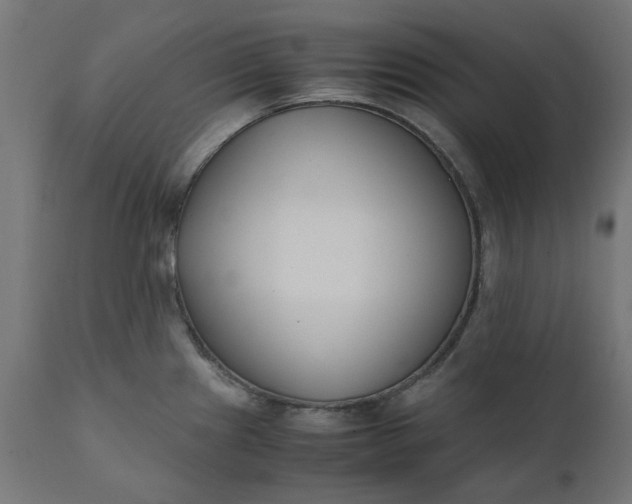 X0000111491241200907281219