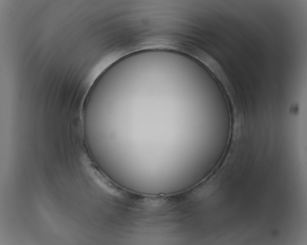 X0000111491242200907281219