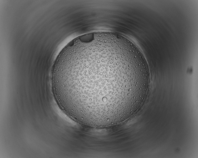 X0000111491243200907281219