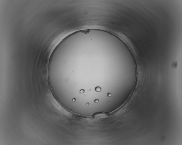 X0000111491244200907281219