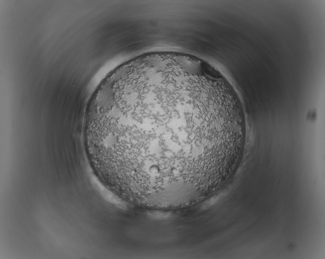 X0000111491245200907281219