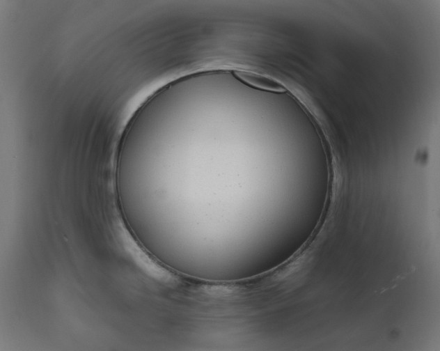 X0000111491246200907281219