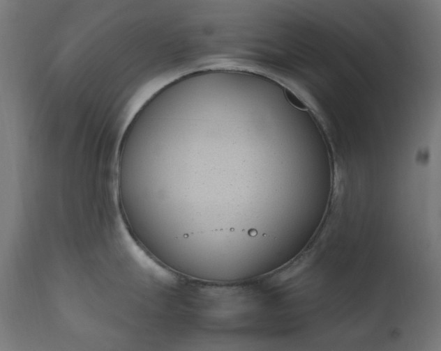 X0000111491247200907281219