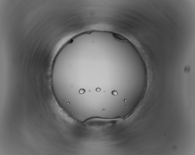 X0000111491248200907281219