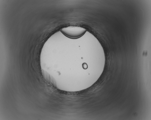 X0000111491249200907281218