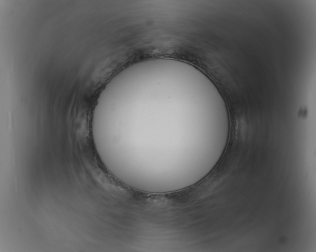 X0000111491250200907281218