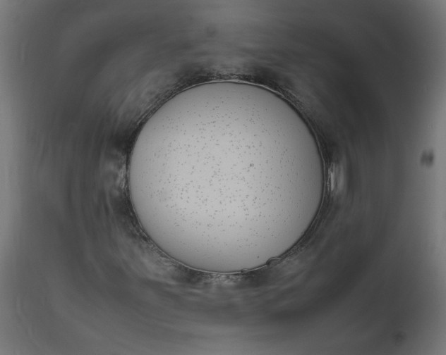 X0000111491251200907281218