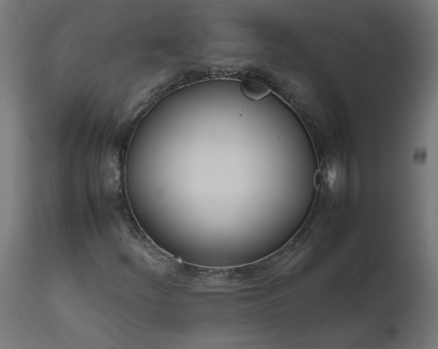 X0000111491252200907281218