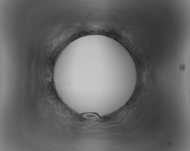 X0000111491253200907281218