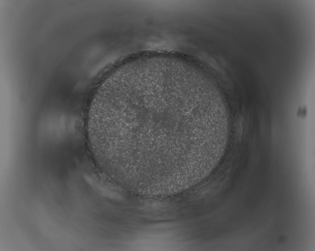 X0000111491254200907281218