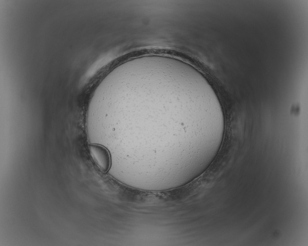 X0000111491255200907281218