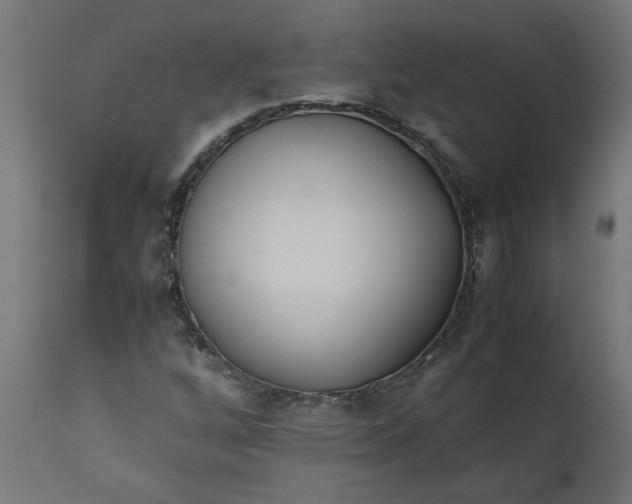 X0000111491256200907281218