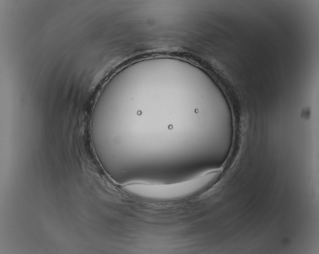 X0000111491257200907281218