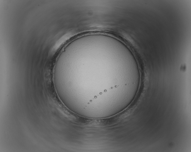 X0000111491259200907281218