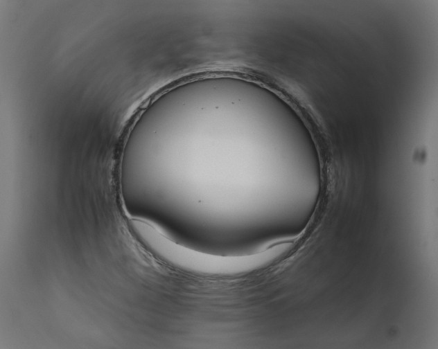 X0000111491260200907281218