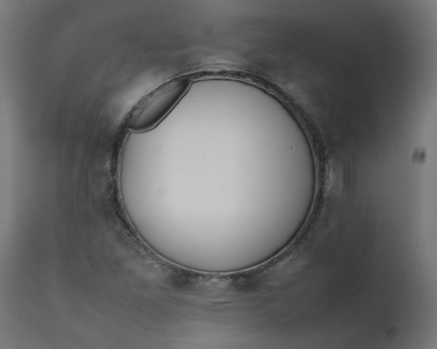 X0000111491261200907281218