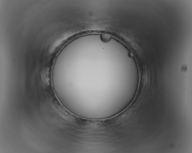 X0000111491262200907281218