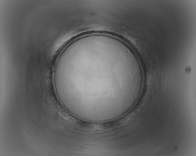 X0000111491263200907281218