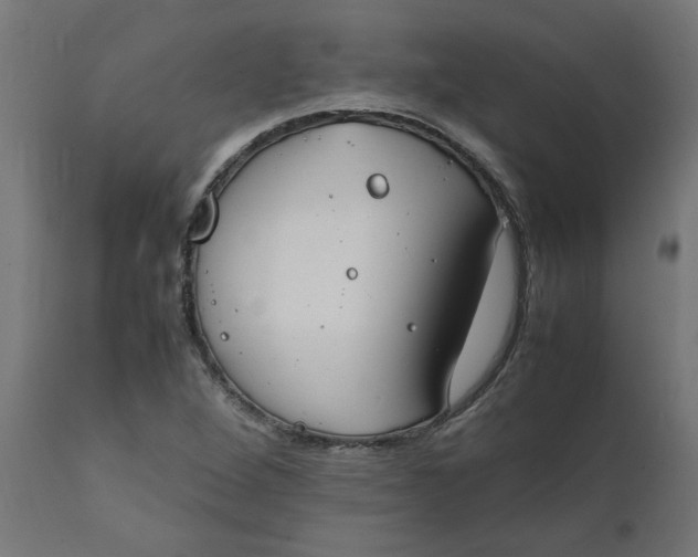 X0000111491264200907281218