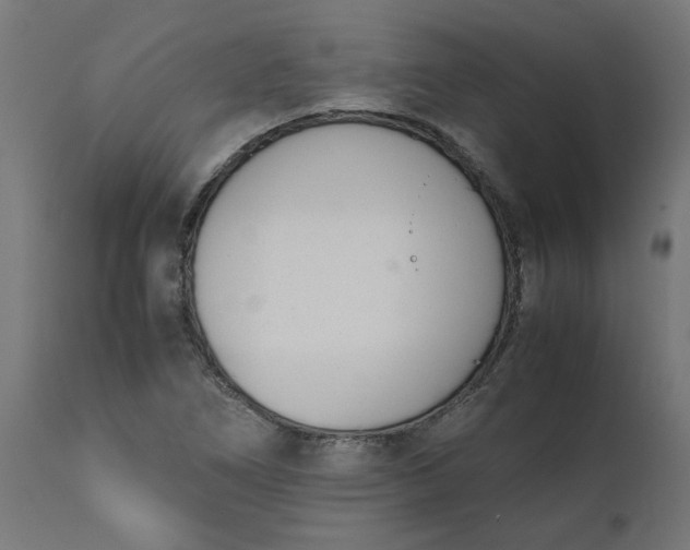 X0000111491266200907281218