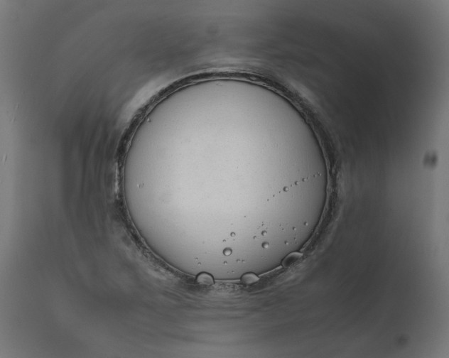 X0000111491267200907281218