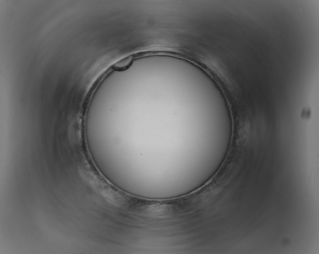 X0000111491268200907281218