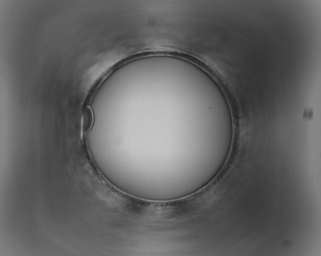 X0000111491269200907281218