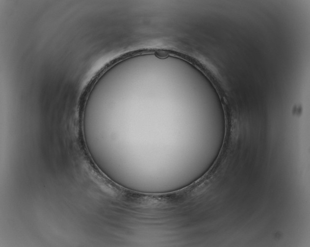 X0000111491270200907281218