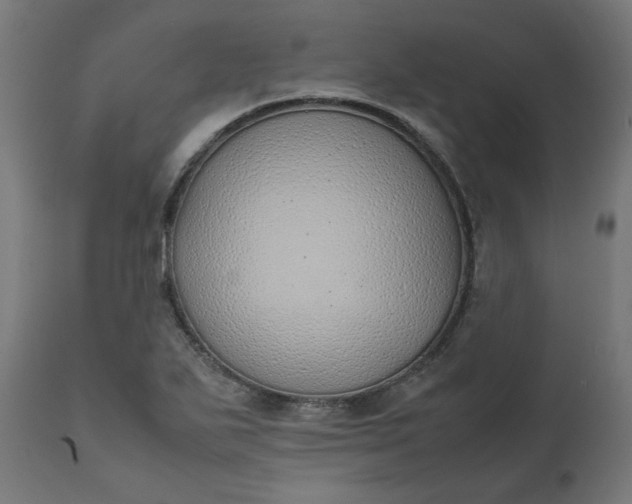 X0000111491271200907281218