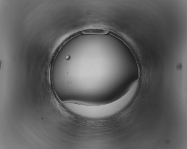 X0000111491272200907281218