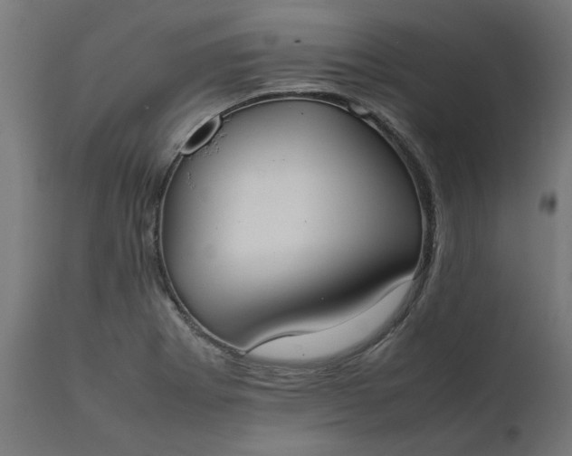 X0000111491273200907281218