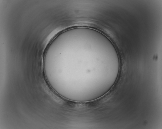 X0000111491275200907281218