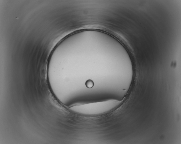 X0000111491276200907281218