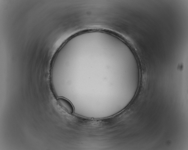 X0000111491279200907281218