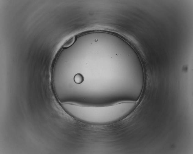 X0000111491280200907281218