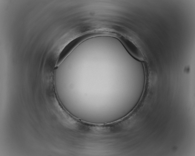 X0000111491281200907281218