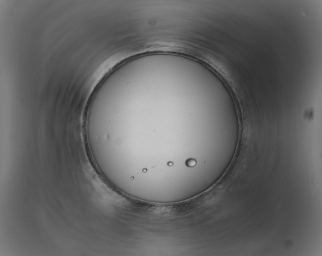 X0000111491283200907281218