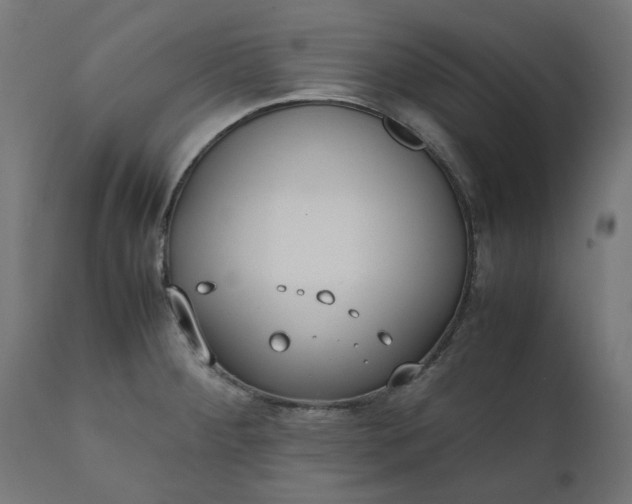 X0000111491284200907281218